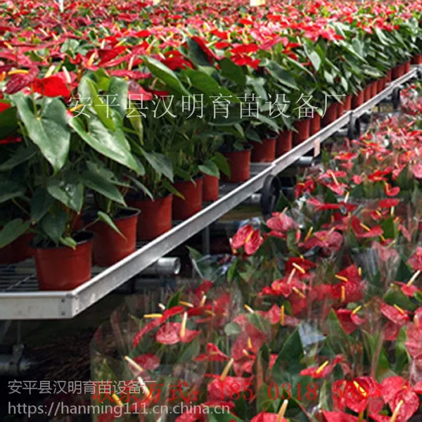 ***可移动苗床 可移动苗床报价
