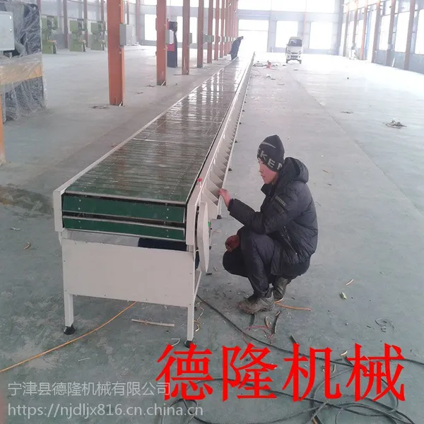 德隆DL-BL1051链板输送机不锈钢 流水线设备 传送带