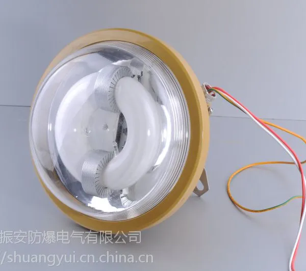 防爆免维护节能防水放尘防腐灯乐清振安电磁感应灯防爆无极灯直销18257775718
