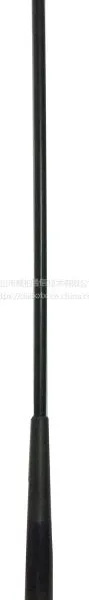 QT500AS-1 终端天线 测绘天线