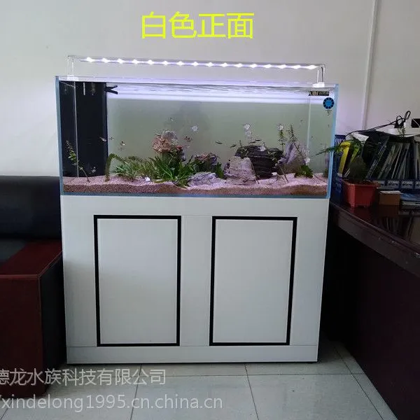 ��̬��� ��׳��� �⻻ˮ���