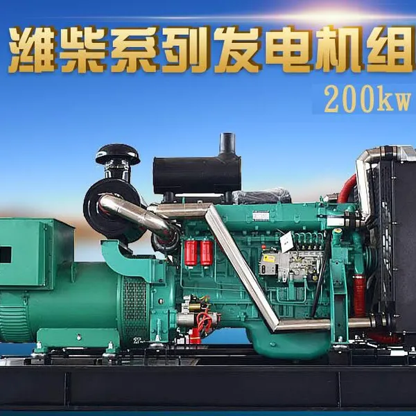泰安200kw发电机 小型海鲜加工厂备用电源 潍柴200千瓦全铜发电机