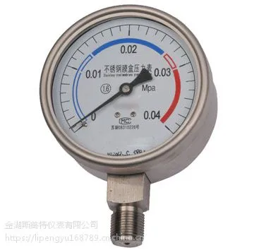 YTFE-150不锈钢膜盒压力表