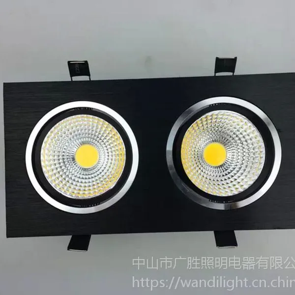 ��ʤ��Ӧ˫ͷcob�컨�� led��դ�� ��ɫ/��ɫ