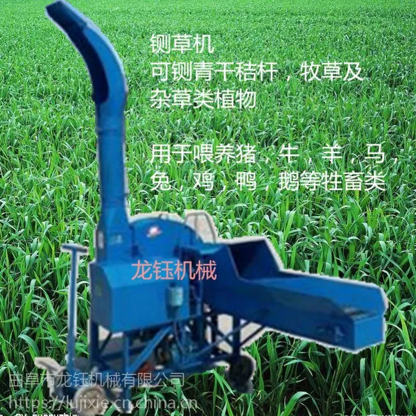 Сţר�ò����вݻ����� ��ֳա�ݻ�����