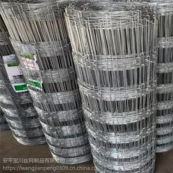 牛栏网厂家直售冷热镀锌牛栏网草原围网养殖围网