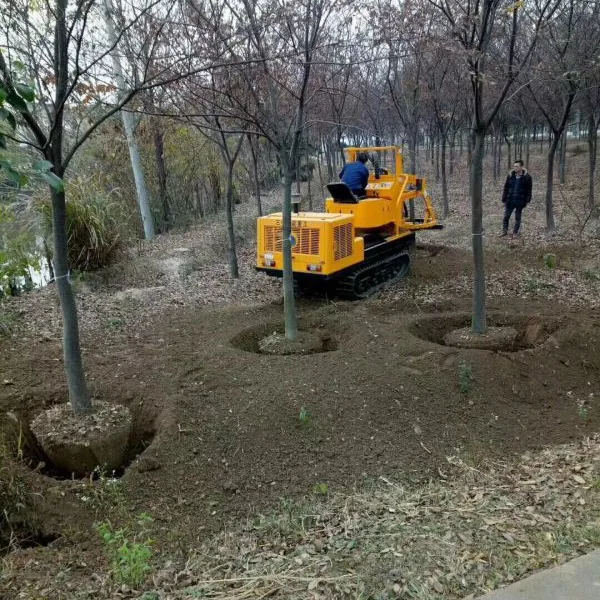 ������԰�ֻ�е��ľ�޼���������������������������
