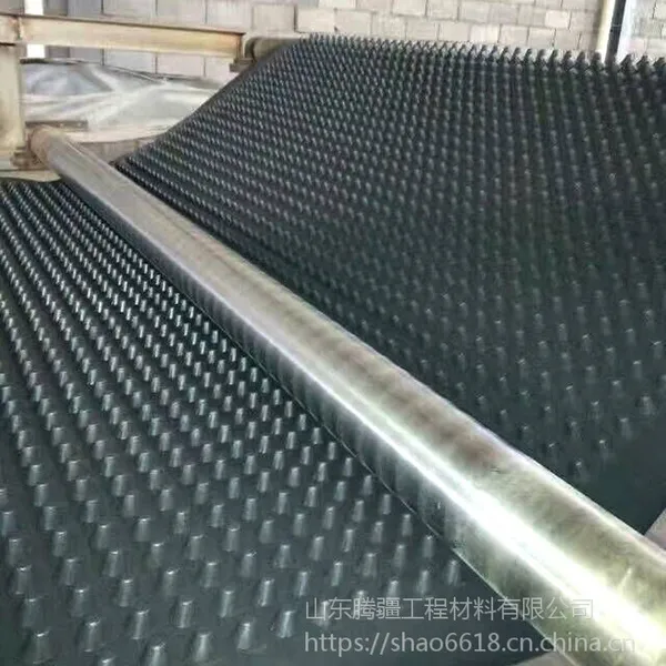 腾疆隧道公路排水板园林绿化疏水板厂家直销HDPE塑料排水板土工布