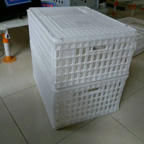 中兴加厚加强淘汰鸡笼青年鸡笼山东塑料运输鸭笼毛鸡运输筐拉鹅笼