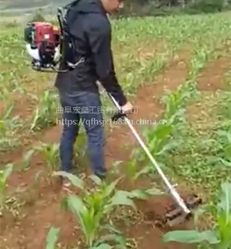 �๦�ܲ�ƺ�������ݻ� ��������԰����������������
