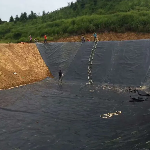 防水材料厂家鱼池水库蓄水池人工湖土工膜防渗膜HDPE膜屋顶阳台用