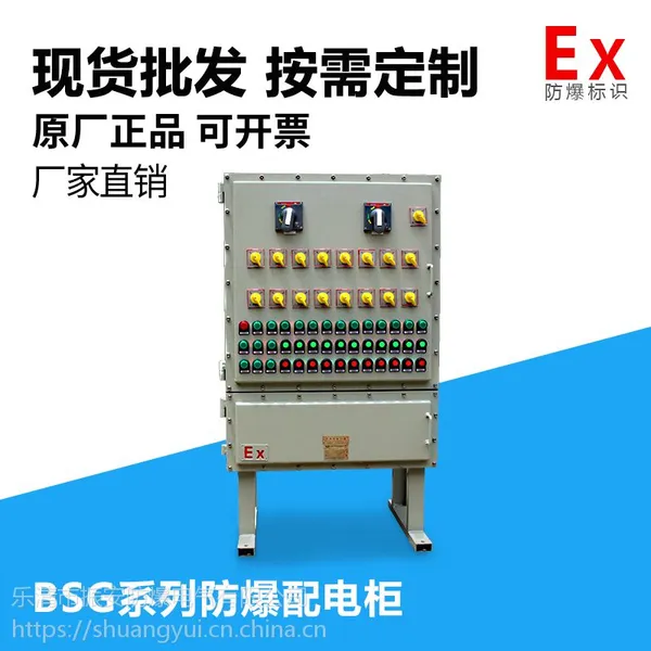 浙江同隆防爆同型号直销BSG系列防爆柜 铸钢外壳断路器动力柜 电话18257775718