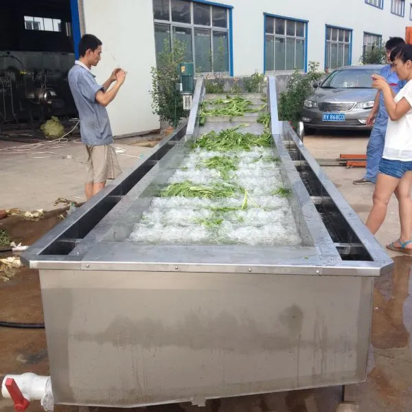 水果清洗机 叶类气泡蔬菜清洗机 商用臭氧消毒洗菜机 蔬菜清洗机