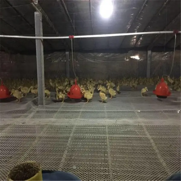 ����ƽ�� ����ϩ��ֳ�� ������������