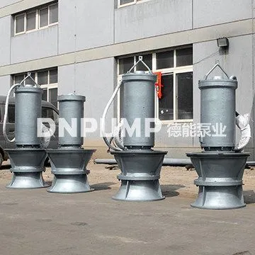 ��� ��ھ�����������ʽ�꼾ר��Ǳˮ��