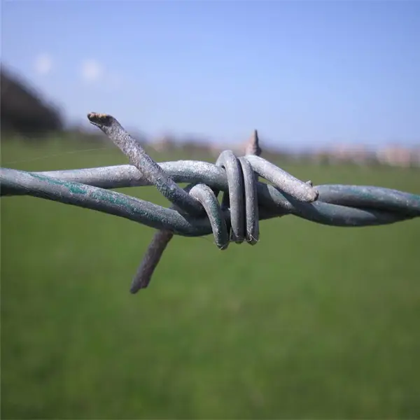 Χǽ�ϵķ������� ����� Χǽ�������� �ɶ���