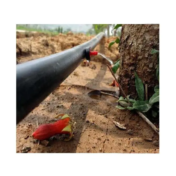����4��ѹ������ʽ�ι��ͷ����