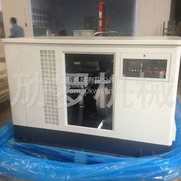 西零度品牌30KW天然气发电机
