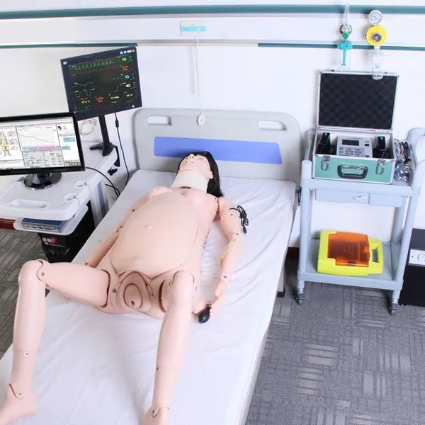 浙江弘德高智能数字化妇产科技能训练系统(计算机控制)