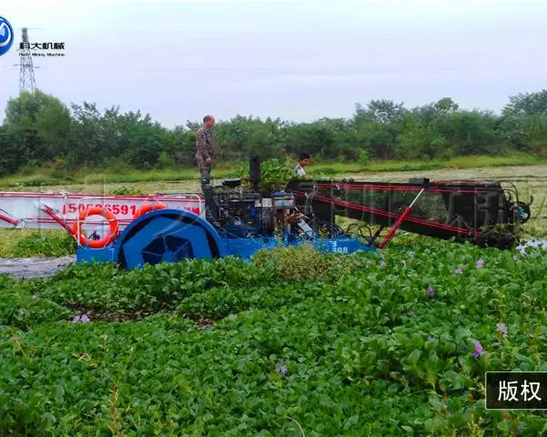 青海半自动小型割草船 科大收集水藻设备报价