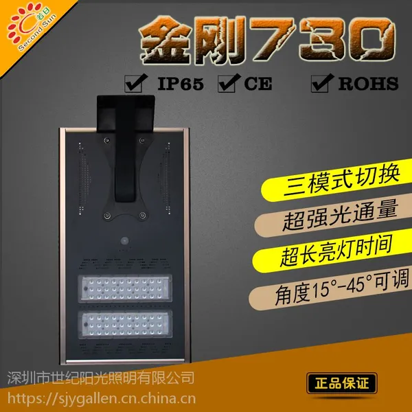 若日太阳能家用照明系统30w太阳能路灯亚马逊热卖户外感应led一体灯