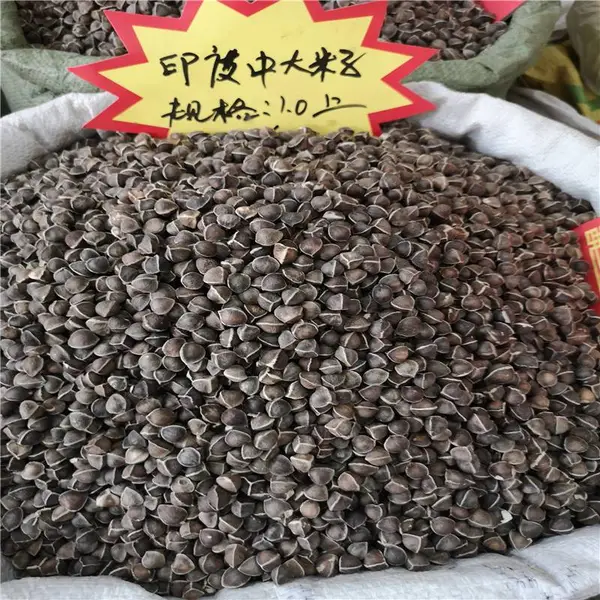 辣木籽一次吃几粒/辣木籽真假区别