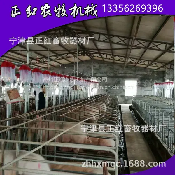 育肥舍自动养猪料线 畜牧养殖自动化设备 高智能组合系统L