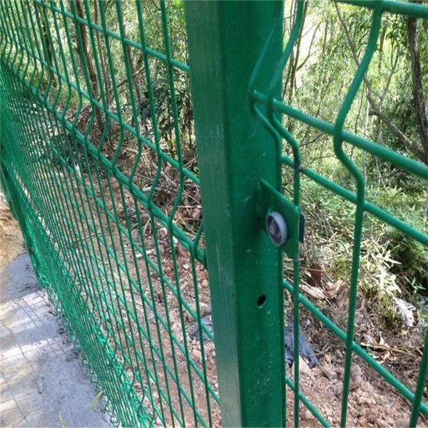 ���׹�������Χ�� ũ���ֻ����� �����߽�����ǽ