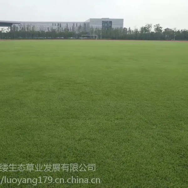 ���ϳ�ɳ���򳡶���ʲô��Ƥ���۸���˵��Ҫ����Ǯ��