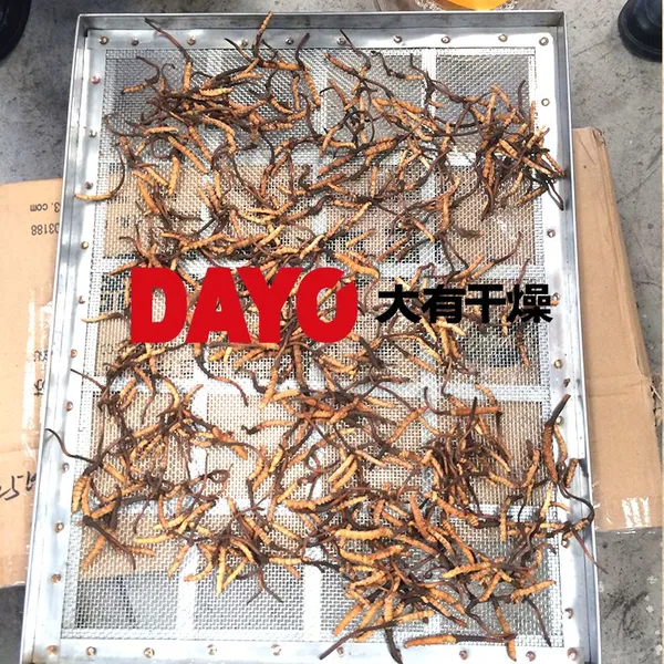 ������� �����ֹ��� ѹ���� ��������� ����Ԫ��������ֺ���