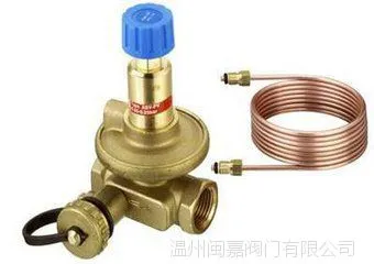 �¹�TOP��������ʽ����ƽ�ⷧ ����ַ���ƽ�ⷧ