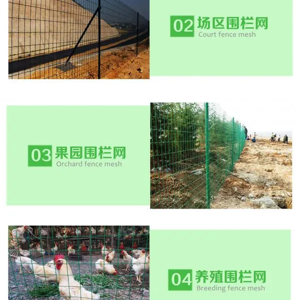 供应养殖网、养殖围网、养鸡/鸽/兔网、家禽养殖网