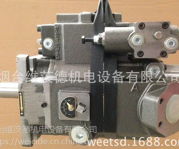 HAWE V30D-095RKN-2-1-03LN400-M泵