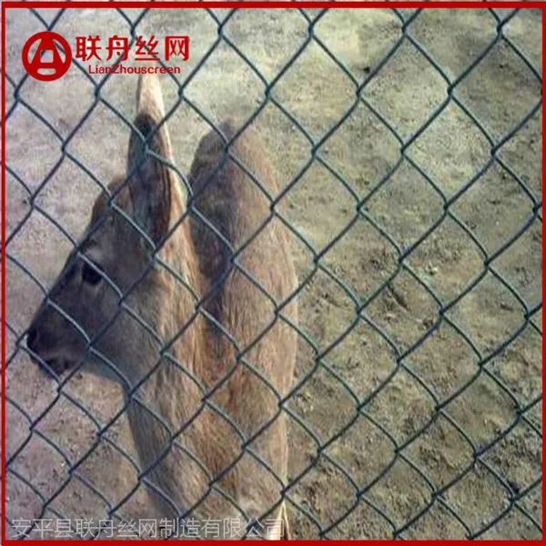 ���ι������������� �ֹ���֯������ �����˿������Ǯһƽ��