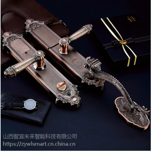智宜未来 zywl-h9 别墅款智能锁