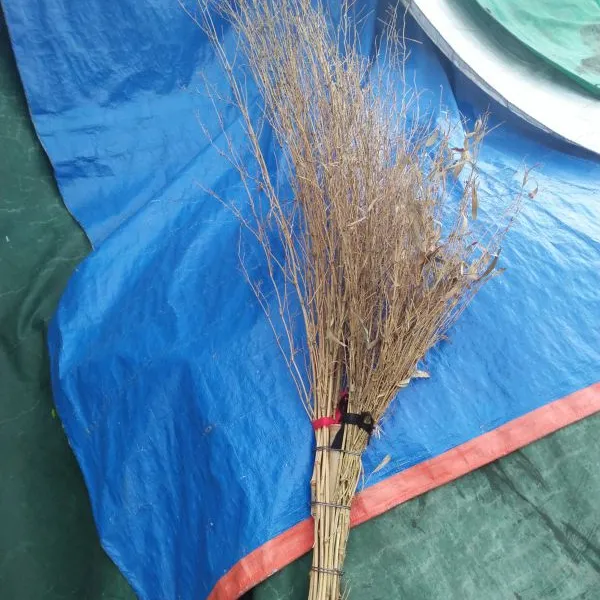 金竹牌环卫竹扫帚大量优质,超强性能,超高寿命。