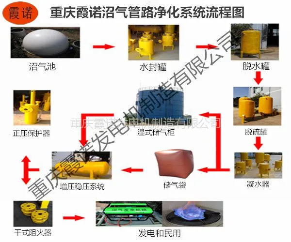 供应大型沼气工程设备新型小型家用沼气发电设备
