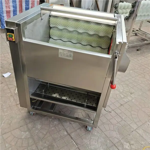 双丰毛棍是蔬菜清洗机 可连续出料 可间歇出料 洗各种果蔬
