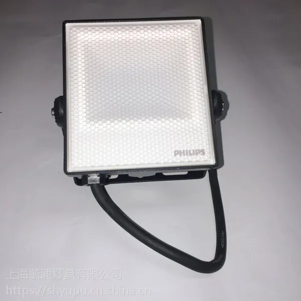 ����������Ͷ���LED10W��BVP131 LED8/CW