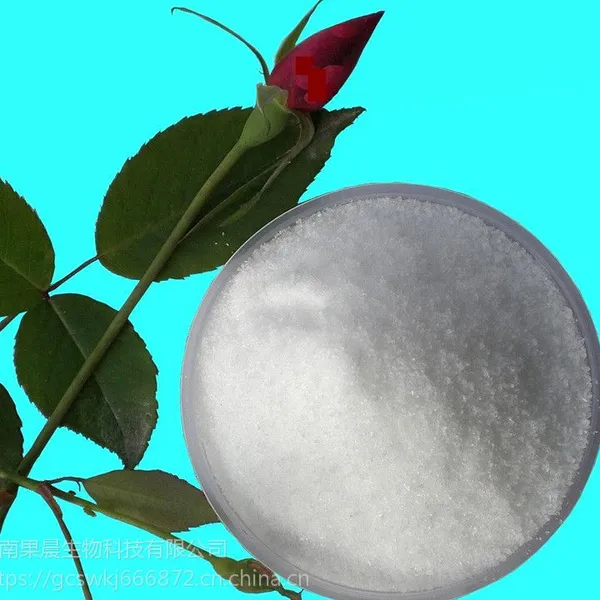 �ܾ�ø��������ʳƷ���ܾ�ø ø�Ƽ� �������
