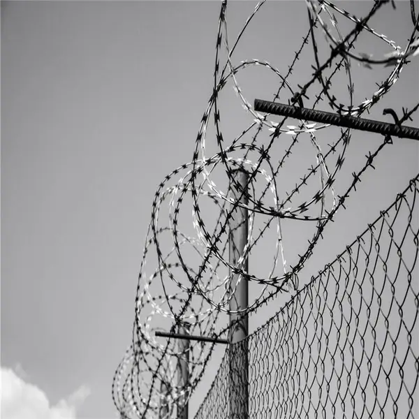 梅花刺片隔离网 带电线防盗刺网 报警刀片滚笼