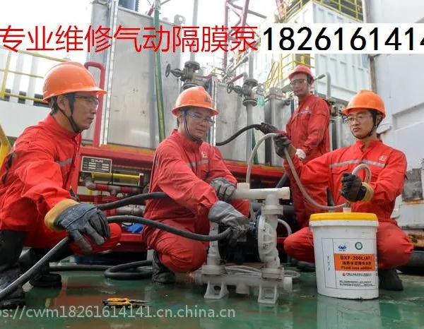 马拉松气动隔膜泵维修