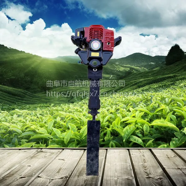 ֲ����������ͷ �ӱ�����������ͼƬ �������Ͷϸ�������