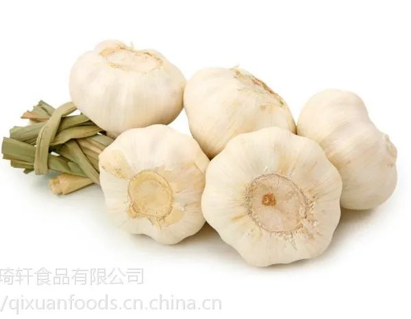 大蒜粉厂家 大蒜粉价格【琦轩食品】从事调味品香辛料20年