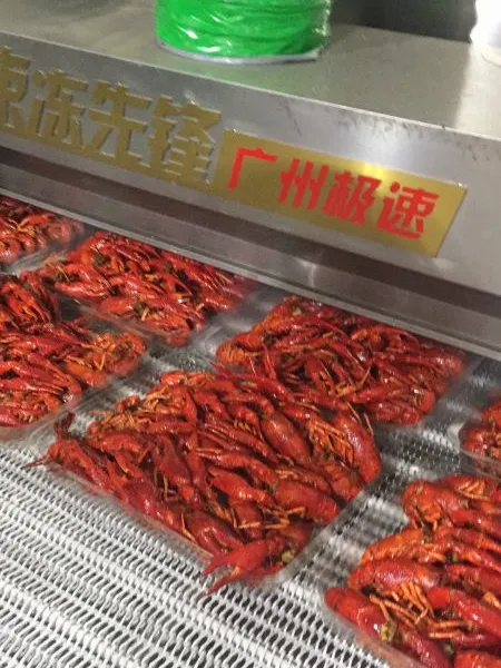 湖北隧道式小龙虾液氮速冻机完美冻结,解冻后加热即食