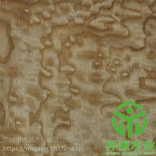 大庆天然木皮厂家,枫木皮0.5mm,桦源木业