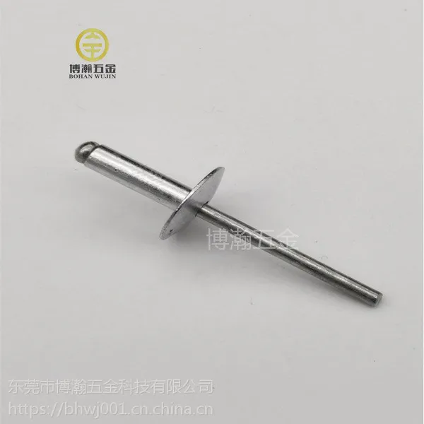 博瀚五金供应开口型大帽沿抽芯铆钉圆头拉钉4.8X16X16