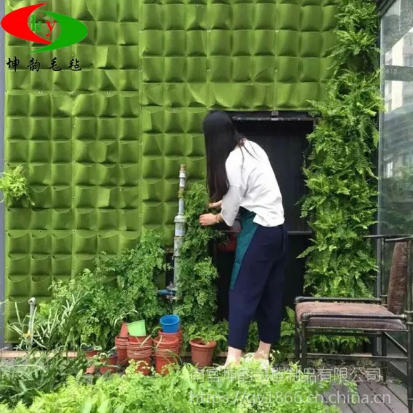 ëձ��ֲ�� ����ֱ��ëձ����ڹ�ʽ��ֲ�� ������̨��ֲ��