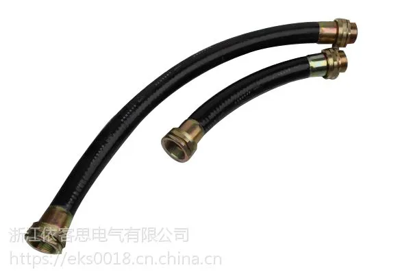 BNG-DN20*1000防爆挠性绕行软管