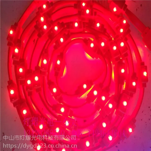 LED灯带 12v双面灯 防水耐寒 灯杆造型灯 双头灯串
